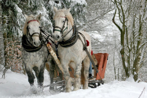Święty Szczepan i jego konne dziedzictwo: Historia niezwykłej skandynawskiej tradycji