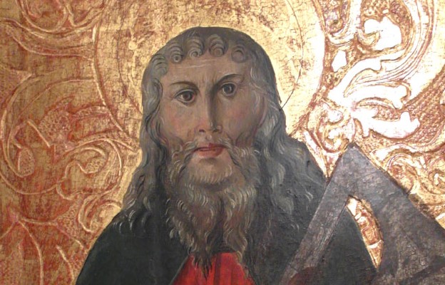 Maciej Apostol