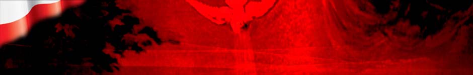 W święto Ofiarowania Pańskiego, 2 lutego, 