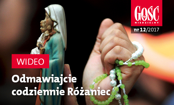 Zajawka do internetu GN12